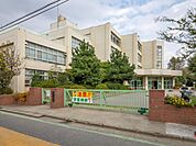 大成小学校まで約250m