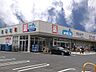 周辺：ウエルシア川口北原台店まで約500m
