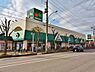 周辺：マルエツ 東川口店まで約572m