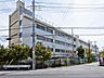 周辺：柳崎小学校まで約1000m