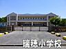 周辺：大網白里市立瑞穂小学校まで876m