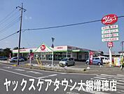 ヤックスケアタウン大網増穂店まで2752m