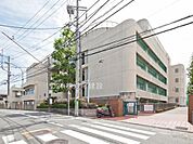 :横浜市立平楽中学校 まで240m、:横浜市立平楽中学校