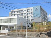 大阪青凌中学校・高等学校まで1089m