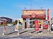 ホットモットまで60m