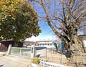 佐野みのり幼稚園まで1029m