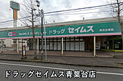 ドラッグセイムス青葉台店まで1017m