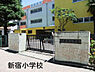 周辺：千葉市立新宿小学校まで537m