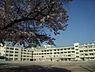 周辺：目黒区立東山中学校まで882m