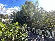 自然が多い住環境！