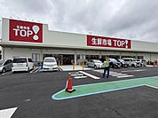 生鮮市場TOP羽村店まで460m