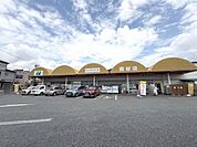 マルフジ舘谷店まで988m