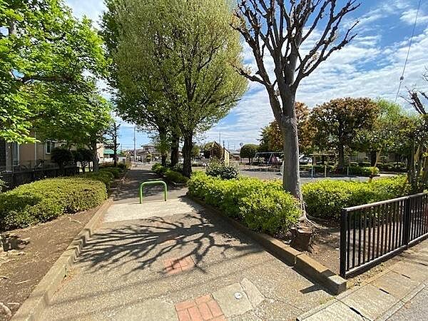 周辺を拡大表示
