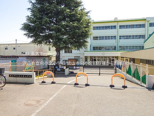 周辺を拡大表示