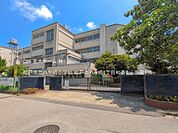 松戸市立八ケ崎小学校まで960m、撮影日:2025/07/01　410　松戸市立八ケ崎小学校