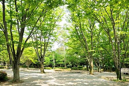 小金原公園まで437m