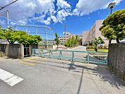 越谷市立宮本小学校　562ｍ