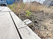 敷地の境目となる境界、どこからどこが自分の敷地なのか、隣接地や道路との境目に付いている境界ポイント
