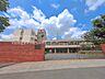 周辺：川口市立里中学校 400m
