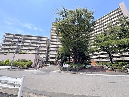 便利な食洗機や浴室乾燥機など、日々の家事を支える設備を完備。ペットと一緒に暮らせるのも、見逃せない嬉しいポイントです。※掲載写真はAIによる画像加工を施しています。