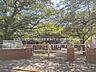周辺：足立区立栗島中学校 420m
