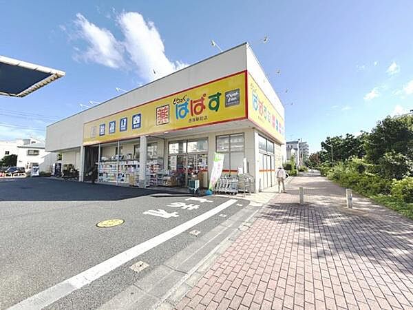 画像27:どらっぐぱぱす赤塚新町店まで676m