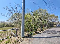 物件画像 横芝光町上原字川端　土地