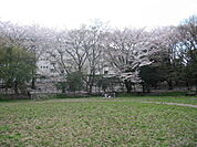 白山公園まで583m