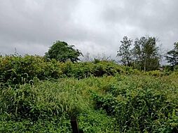 物件画像 中沼町・土地