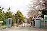 周辺：市川市立中国分小学校まで750m