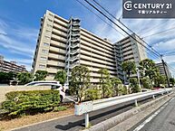 千葉県市川市鬼高2丁目：物件画像