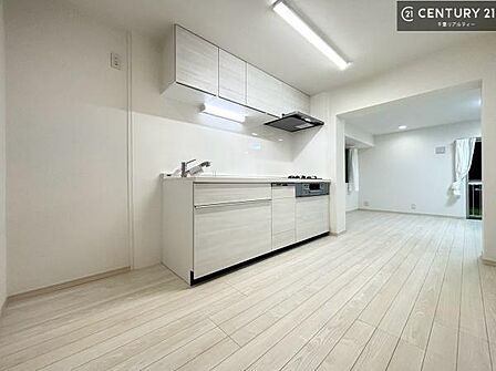 作業がしやすいシステムキッチンです!収納が付いているので、調理スペースに物を置かなくて済みます!広々使えて、快適に作業ができます!