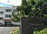 周辺：市川市立南新浜小学校まで982m