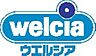 周辺：ウエルシア坂戸薬師町店まで814m