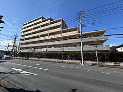 物件画像 コンフォート若葉ポルカ 3階部分