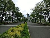 俣野公園まで1028m、旧ドリームランド跡地にできた野球場を取り囲むように、樹林地、芝生広場、遊具広場、レストハウスなどのある公園です。