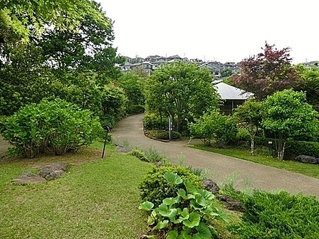 馬場花木園まで1117m、豊かな緑に囲まれた、和風の風致公園です。茶室があり、お茶会や俳句・和楽器の演奏などに利用されています。