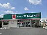 周辺：ドラッグセイムス八尾南植松店まで314m