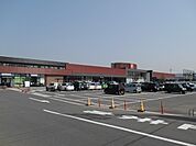 松源和歌山インター店まで997m