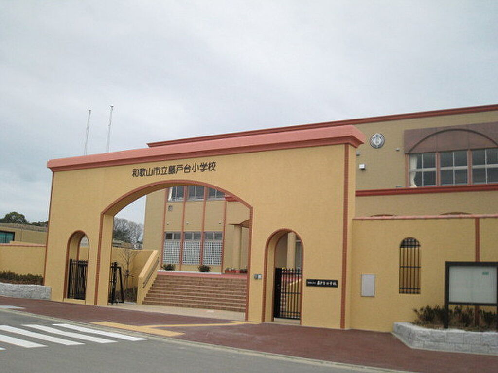 Image 20