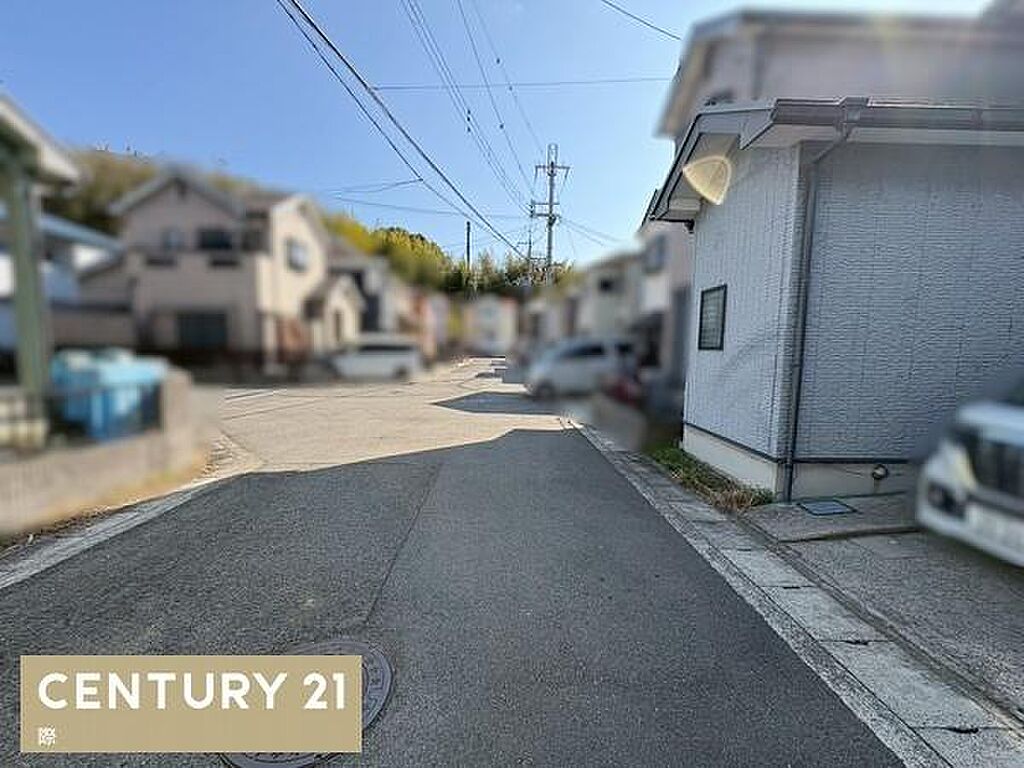 Image 41