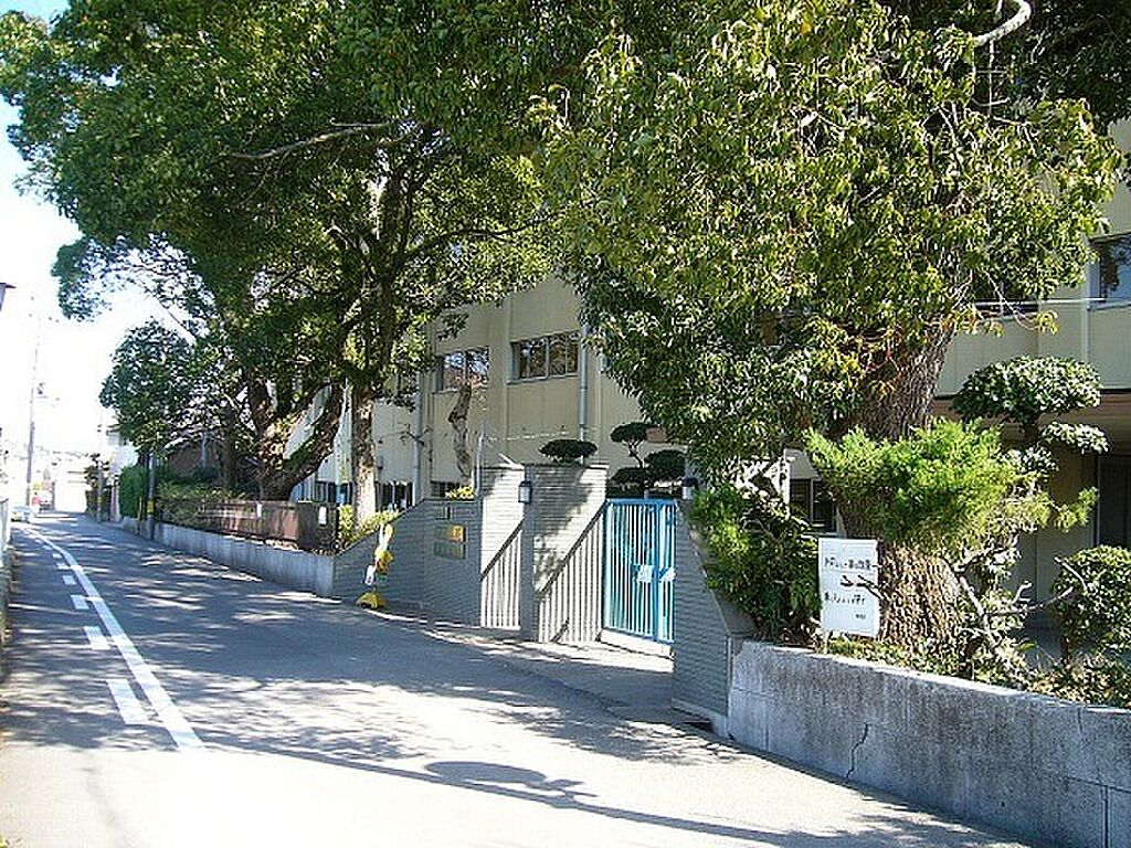 Image 5