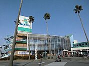 スーパーセンターオークワパームシティ和歌山店まで1371m