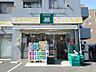 周辺：プチマルシェフジ山元町店　180m　小さめな店舗ながらも必要なものが揃い、食卓を彩る新鮮で品質の良い食品が魅力。 