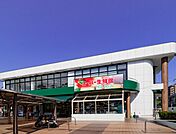スーパー生鮮館TAIGA岡津店　240m　「鮮度はおいしさ」が合言葉の地域密着型の良心的なスーパー。 