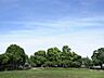 周辺：洋光台北公園　500m　緑の多い園内は小さな雑木林を思わせる雰囲気あり、散策コースとしても。滑り台やブランコなど遊具もあり。 