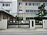 周辺：川崎市立平間小学校　750m　徒歩10分。小学校が近いのは子育てファミリーにもおすすめのポイントです。 