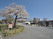 岡野公園　650m　野球場、プールから遊具は幼児も遊べるものまでそろっている、子供たちは退屈することのない場所です。 