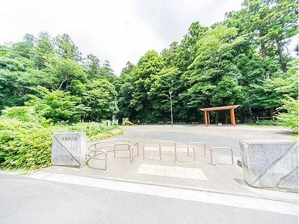 周辺を拡大表示