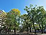 周辺：大通り公園　170m　波のイメージのタイルのモザイクや流氷のイメージのオブジェがあり、自分流で楽しめる公園です。 